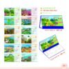 Lịch Để Bàn 2027 MT Mẫu MT41 (24 x 17cm) Cung Cấp Lịch Tết Doanh Nghiệp Hà Nội in logo doanh nghiệp quà tặng Tết tại Quà Tặng Miền Bắc