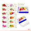Lịch Để Bàn 2027 MT Mẫu MT49 (24 x 17cm) Cung Cấp Lịch Tết Doanh Nghiệp Hà Nội in logo doanh nghiệp quà tặng Tết tại Quà Tặng Miền Bắc